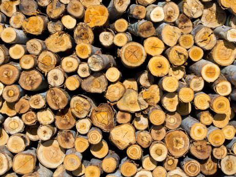 Cabin Wood