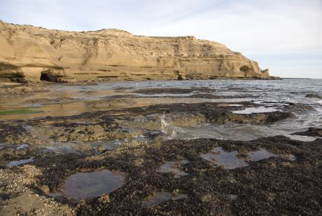 chubut valley