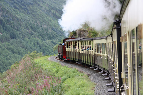 vale of rheidol